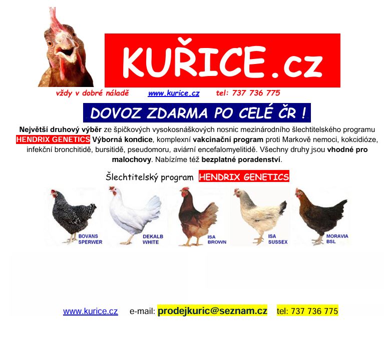 kuřice
